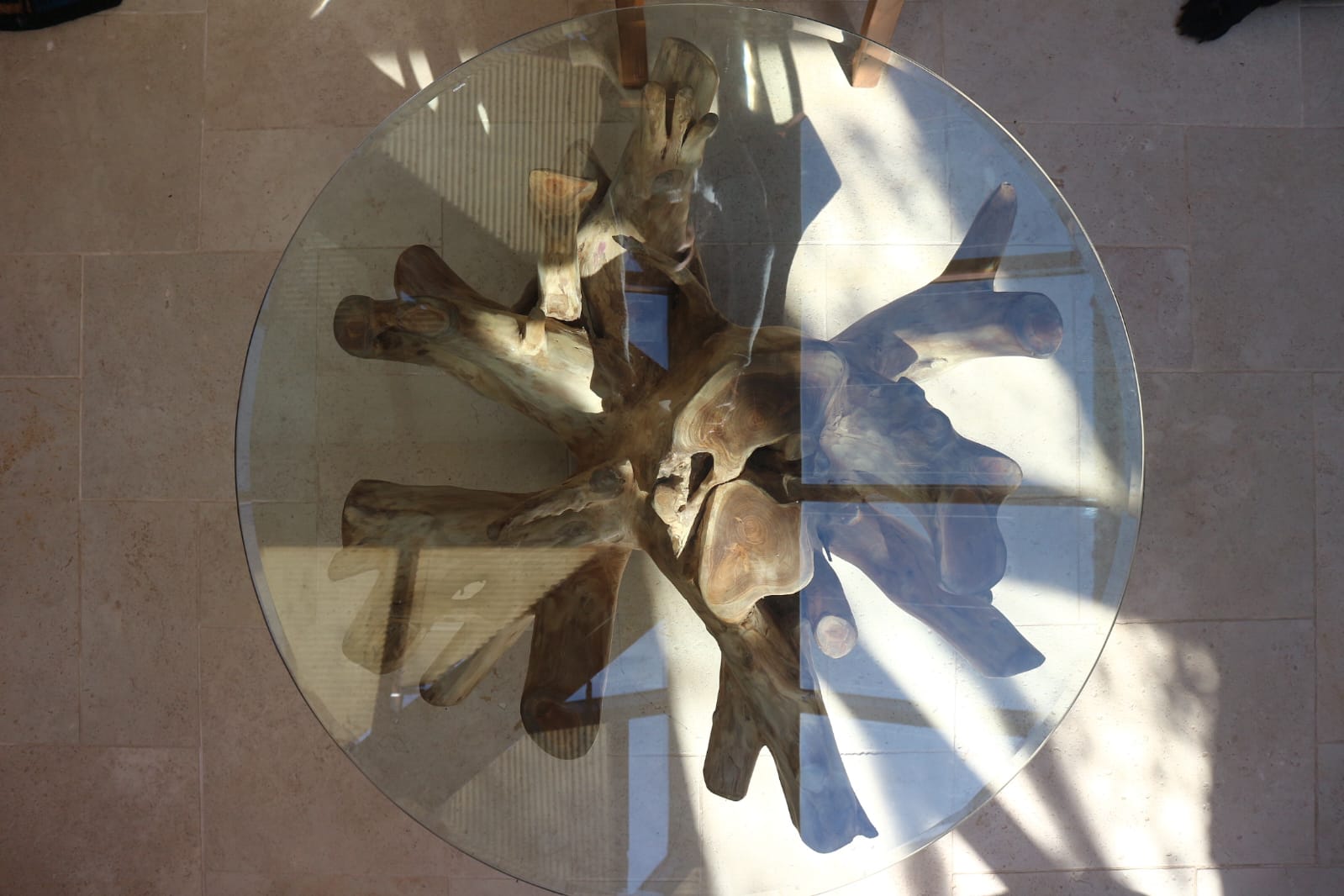 Overhead view of Akar Coffee Table with sculptural root visible through glass