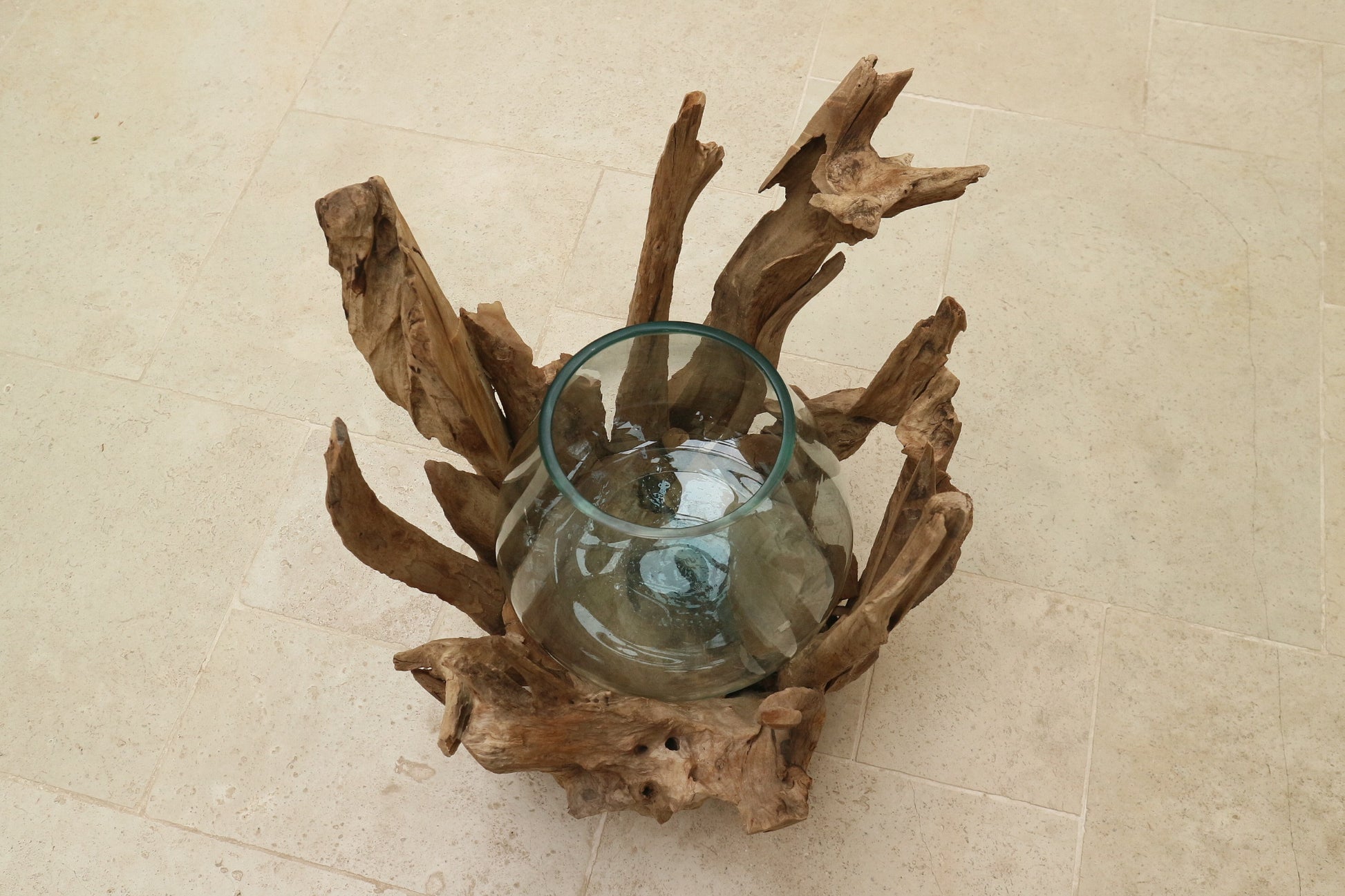 Badai Root Glass top view showing blown glass set in upright driftwood