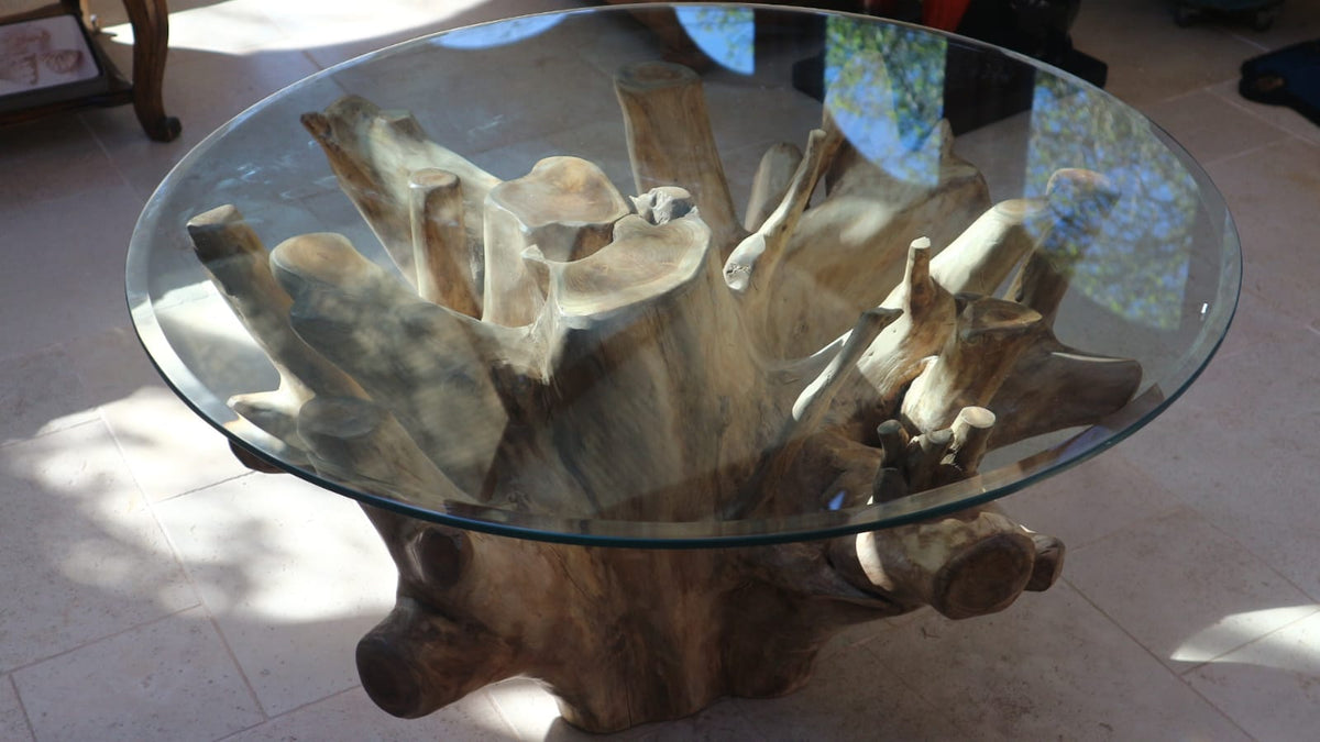 Akar Coffee Table front view showing natural teak root base and circular glass top
