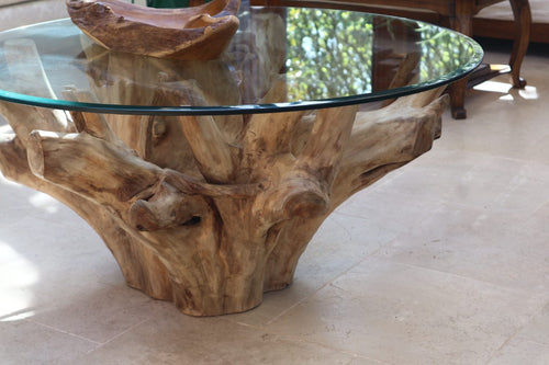 Side angle of Akar Coffee Table showing curved teak roots under clear glass